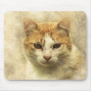 Recherche de chat orange et blanc tapis souris Félin