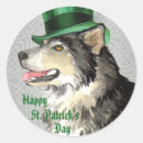 Recherche de petit pâté autocollants Shamrock