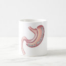 Recherche de douille tasses Café