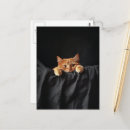 Recherche de chaton adorable cartes postales Unique
