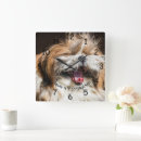 Recherche de shih tzu horloges Animaux