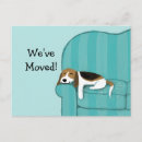 Recherche de chien beagle invitations Nous avons déménagé