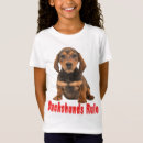 Recherche de dashounds Chiot