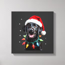 Zoek naar zwart labrador kunst Grappig