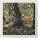 Recherche de scene horloges Forêt