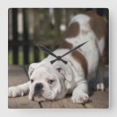 Recherche de animal photography art Horizontal