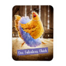 Recherche de de poulet magnets Drôle