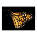 Recherche de papillons mites cartes postales Faune