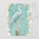 Recherche de oiseaux tropicaux cartes postales Vert