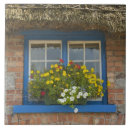 Zoek naar cottage tegels Blauw