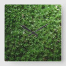 Recherche de vert mousse horloges Botanique