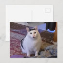 Recherche de meme cartes postales Pour tous