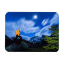 Recherche de explorateur magnets Photographie