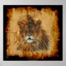 Recherche de roi lion posters Lions