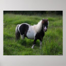 Recherche de race cheval posters Poney