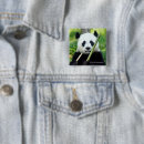 Recherche de panda géant Animaux