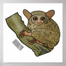 Recherche de tarsier posters Singe