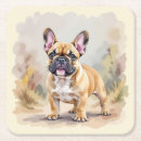 Recherche de bouledogue français bar Animaux
