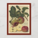 Zoek naar appelen briefkaarten Botanisch