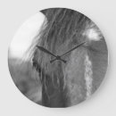 Recherche de pur horloges Chevaux