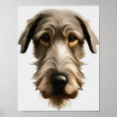 Zoek naar wolfshond posters Windhonden
