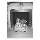 Zoek naar haard briefkaarten Huis