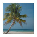 Recherche de belize carreaux Bleu