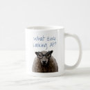 Recherche de brebis tasses Moutons