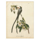 Recherche de cru floral Oiseau