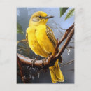 Zoek naar vogeltje briefkaarten Geel