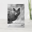 Recherche de chat noir anniversaire cartes Photographie