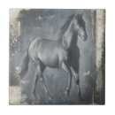 Recherche de étalon carreaux Cheval sauvage