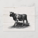 Recherche de dessins vintages cartes postales Ferme
