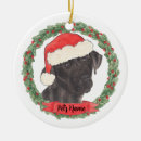 Zoek naar zwart labrador ornamenten Rood