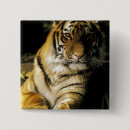 Zoek naar zoo buttons Tijger