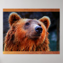 Recherche de ours noirs posters Nature