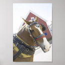 Zoek naar belgisch paard posters Ontwerp