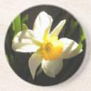 Zoek naar daffodil onderzetters Floreel
