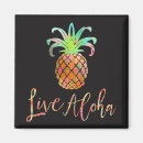 Recherche de ananas magnets Île
