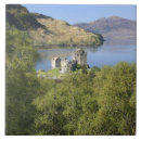 Recherche de gothique carreaux Médiéval