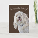 Recherche de poodle anniversaire cartes Mignon