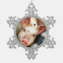 Recherche de porc drôle ornements Mignon