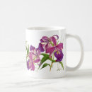 Recherche de orchidée pourpre tasses Botanique