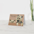 Zoek naar yorkie kaarten Puppy