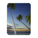 Recherche de côte magnets Crépuscule