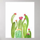 Recherche de cactus no art Ouest