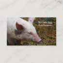Recherche de porc photographie Porcelet