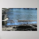 Recherche de racines posters Photographie