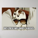 Recherche de lunettes posters Chat