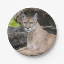 Zoek naar florida borden Wilde dieren